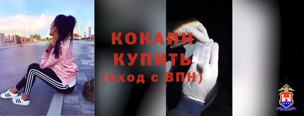 ешки Бронницы