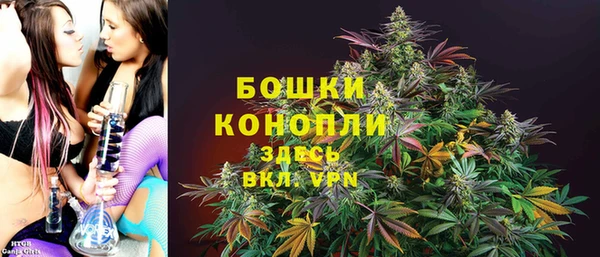 ешки Бронницы