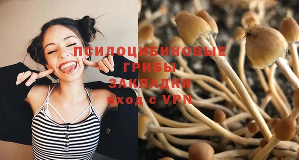 молекула духа Бородино