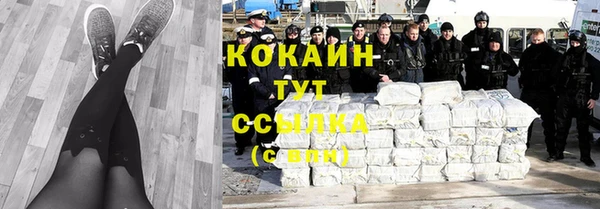молекула духа Бородино