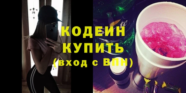 молекула духа Бородино