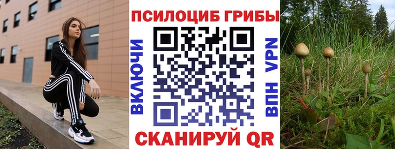 Галлюциногенные грибы мухоморы  как найти закладки  Гороховец 